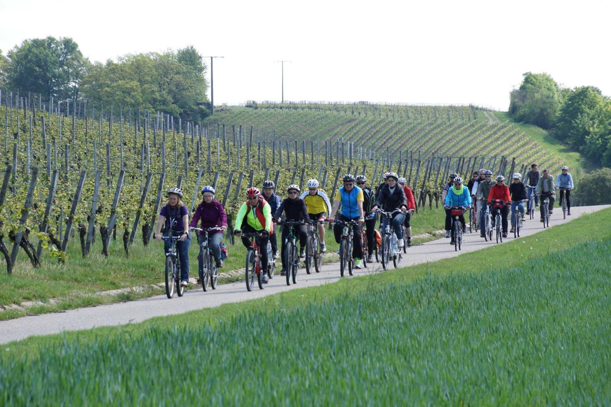 Gaestehaus Zum Wolffenturm Lehrensteinsfeld ภายนอก รูปภาพ