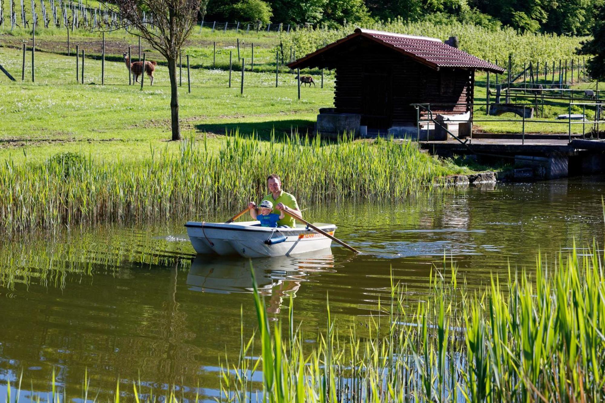 Gaestehaus Zum Wolffenturm Lehrensteinsfeld ภายนอก รูปภาพ