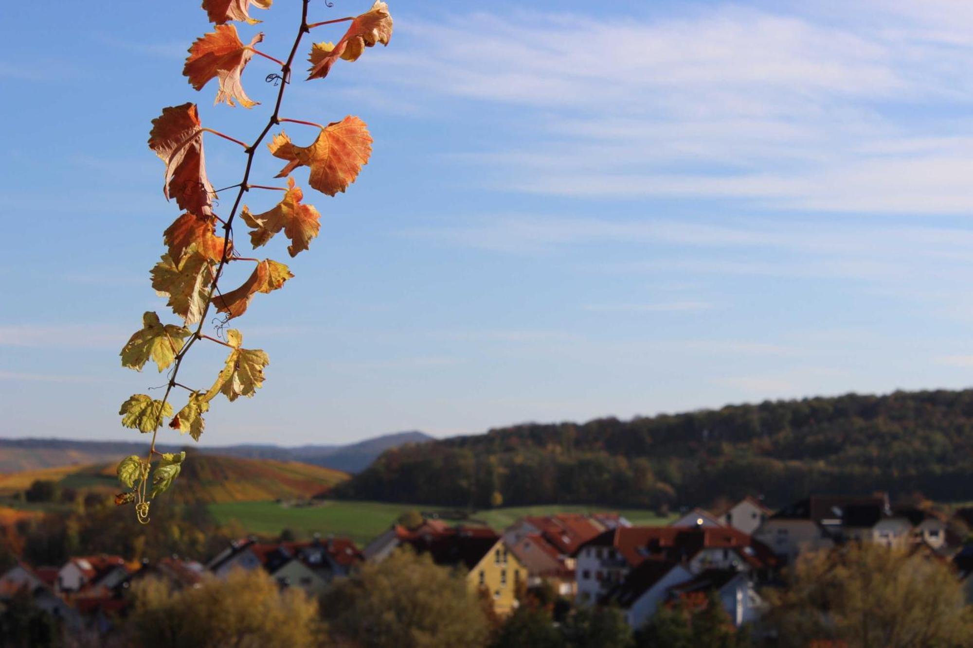 Gaestehaus Zum Wolffenturm Lehrensteinsfeld ภายนอก รูปภาพ